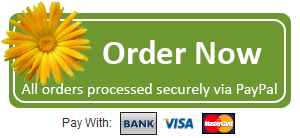 order_now9.jpg