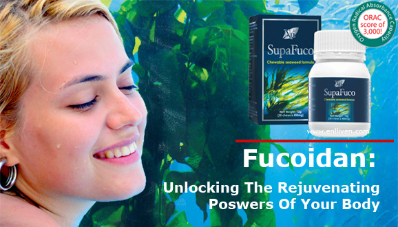 fucoidan_webhead1.jpg